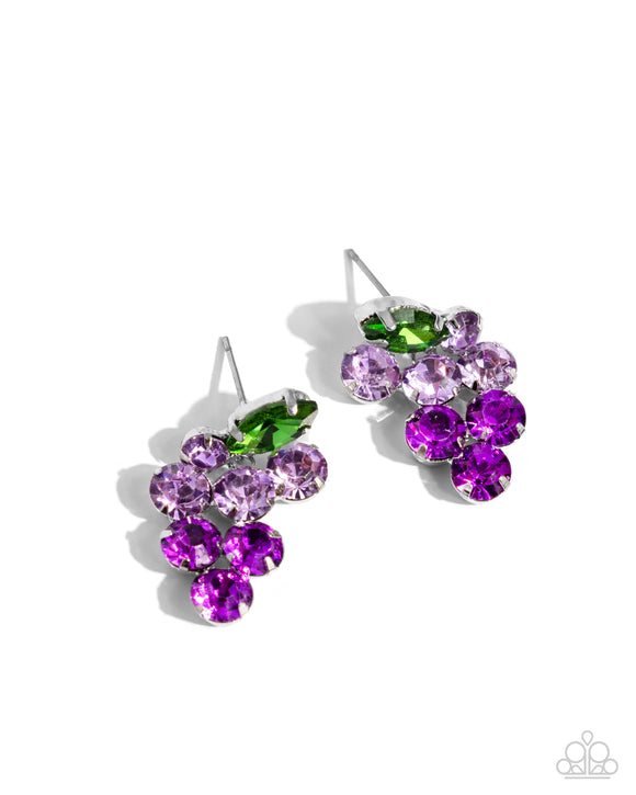 Paparazzi Jewelry Grapevine Grace - Purple Earrings - Pure Elegance by Kym